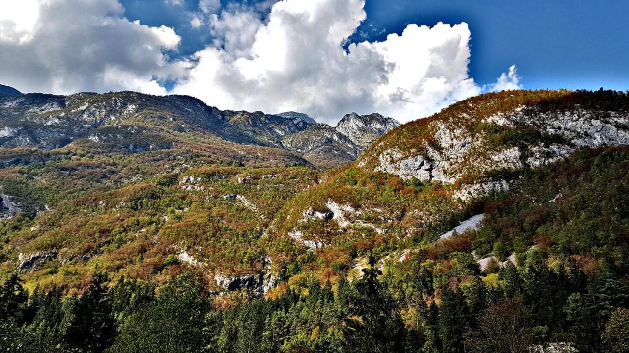 Bovec Home At Three Samoyeds Soča Zewnętrze zdjęcie