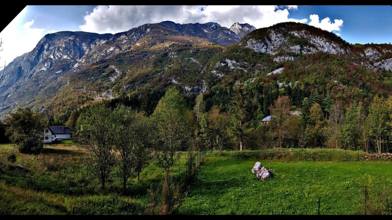 Bovec Home At Three Samoyeds Soča Zewnętrze zdjęcie