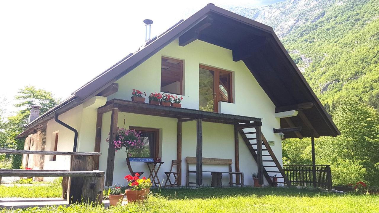Bovec Home At Three Samoyeds Soča Zewnętrze zdjęcie