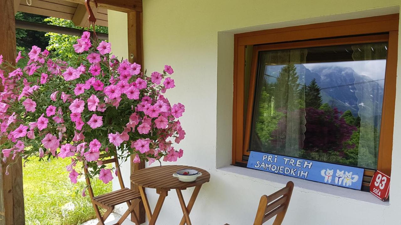 Bovec Home At Three Samoyeds Soča Zewnętrze zdjęcie