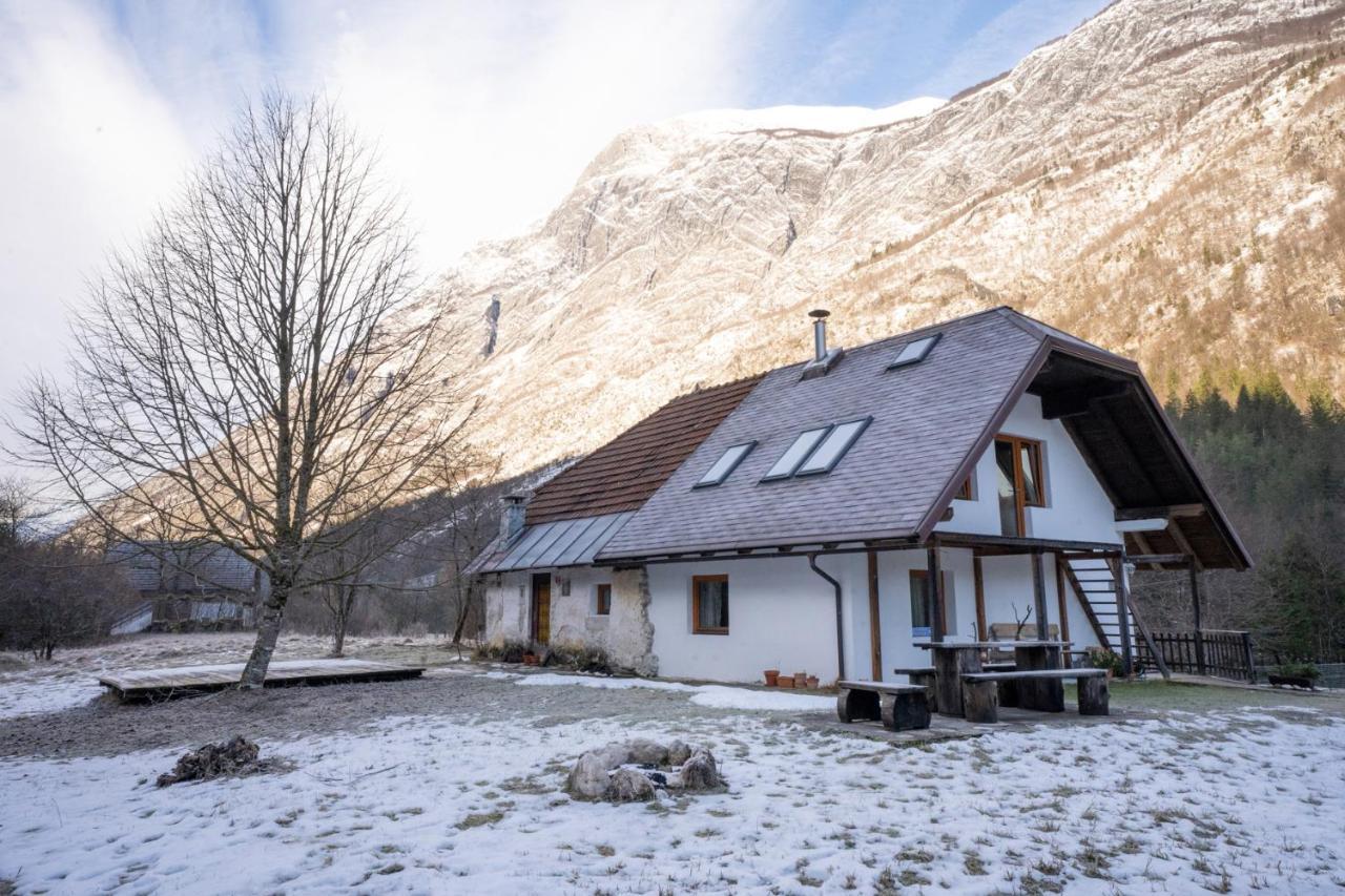 Bovec Home At Three Samoyeds Soča Zewnętrze zdjęcie
