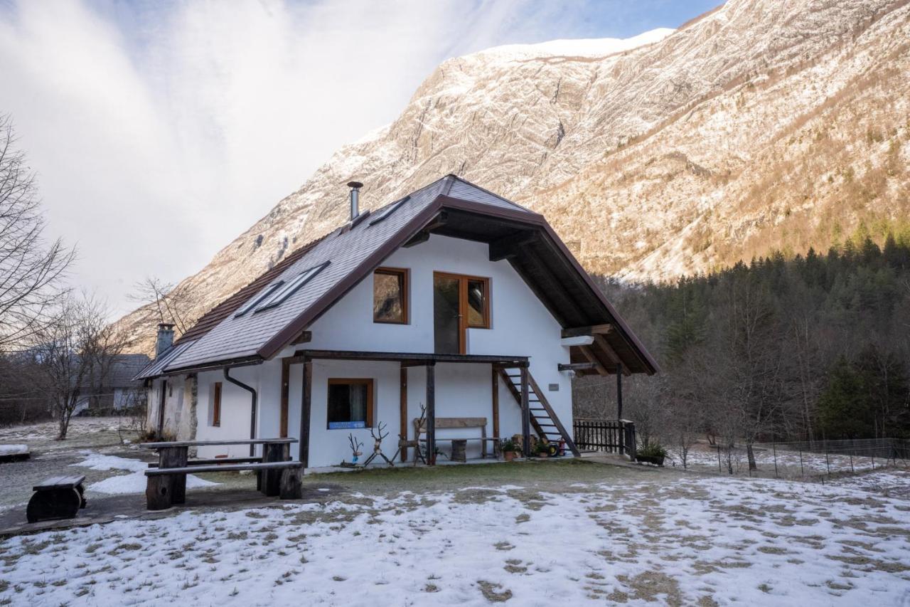 Bovec Home At Three Samoyeds Soča Zewnętrze zdjęcie