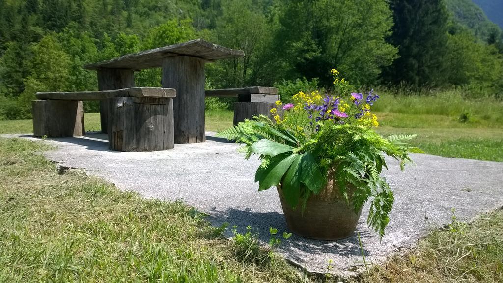 Bovec Home At Three Samoyeds Soča Zewnętrze zdjęcie