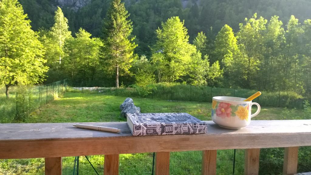 Bovec Home At Three Samoyeds Soča Zewnętrze zdjęcie