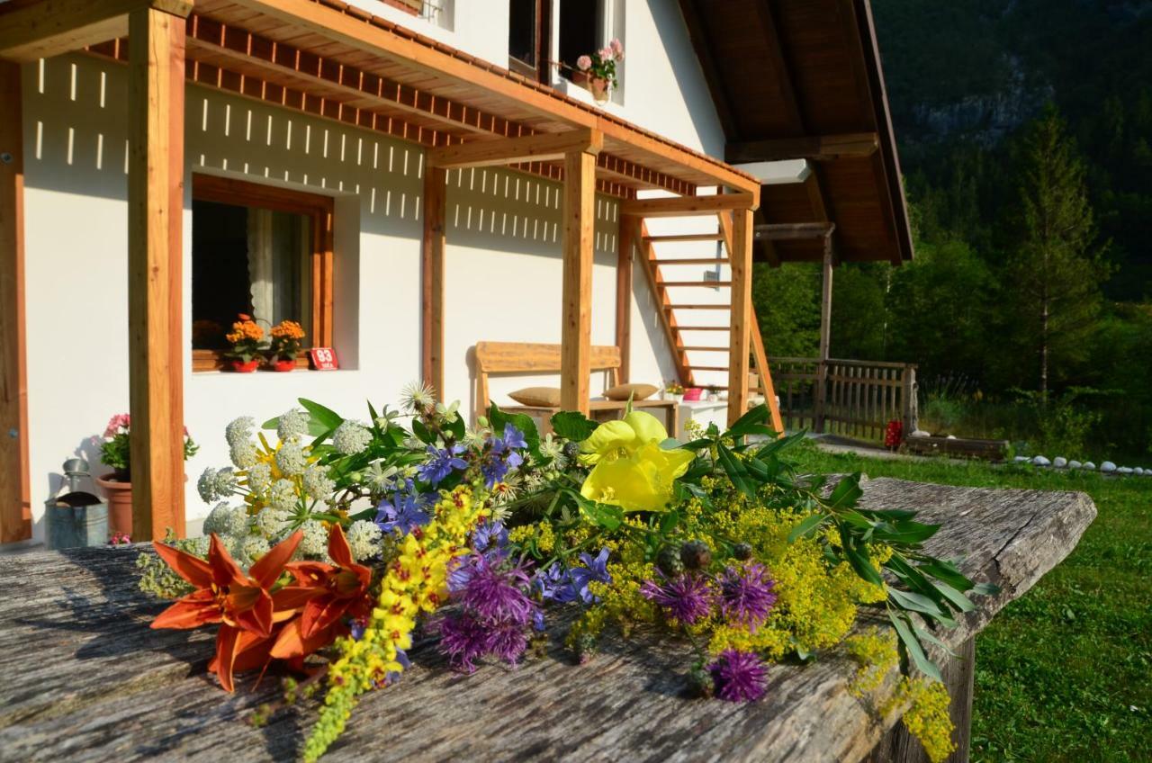 Bovec Home At Three Samoyeds Soča Zewnętrze zdjęcie