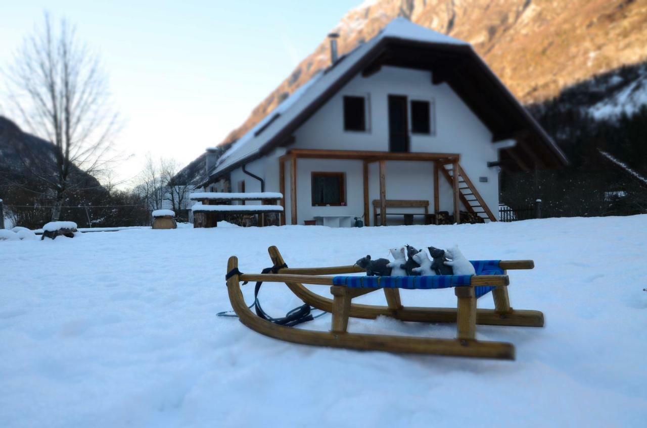 Bovec Home At Three Samoyeds Soča Zewnętrze zdjęcie