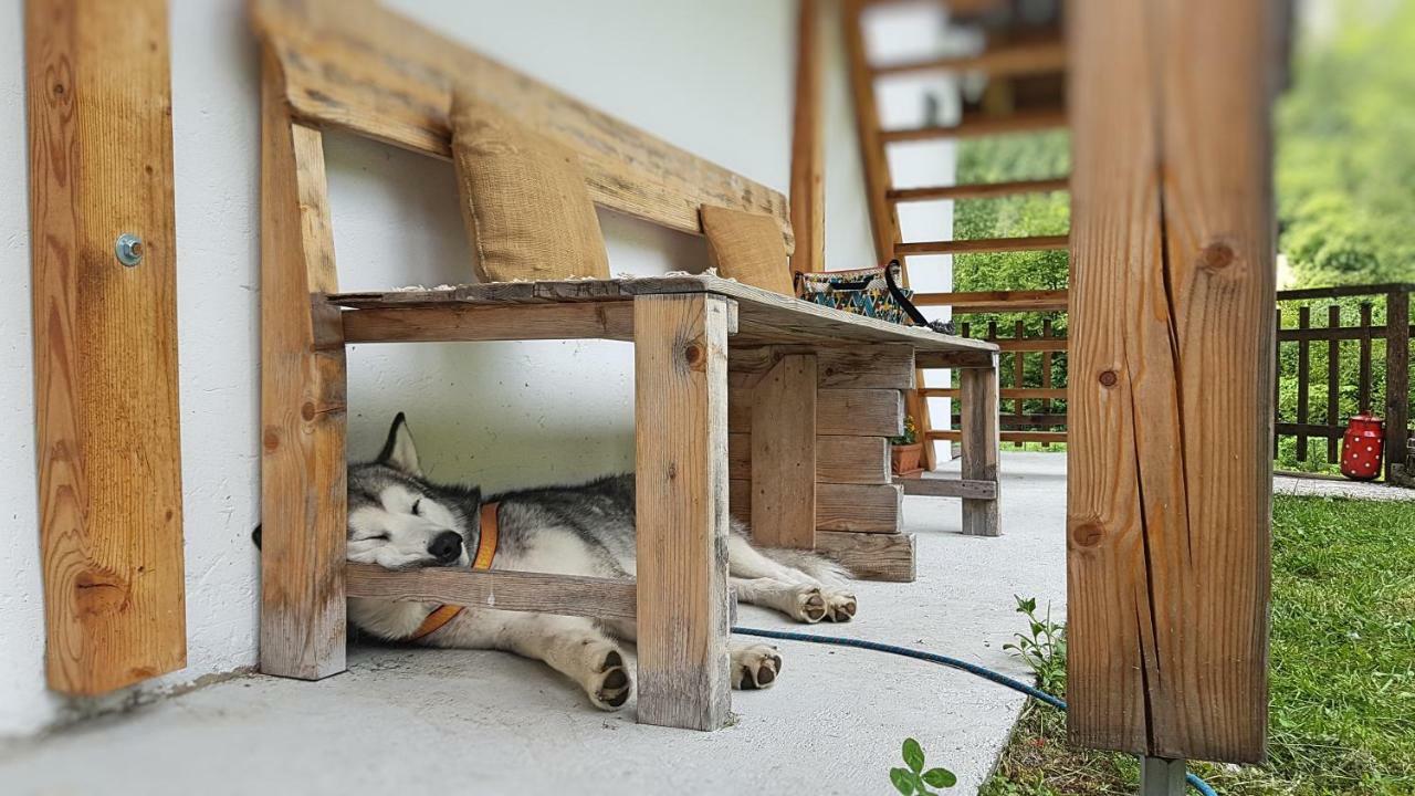 Bovec Home At Three Samoyeds Soča Zewnętrze zdjęcie