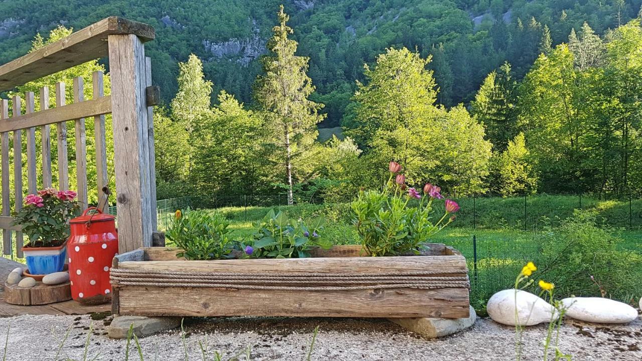 Bovec Home At Three Samoyeds Soča Zewnętrze zdjęcie
