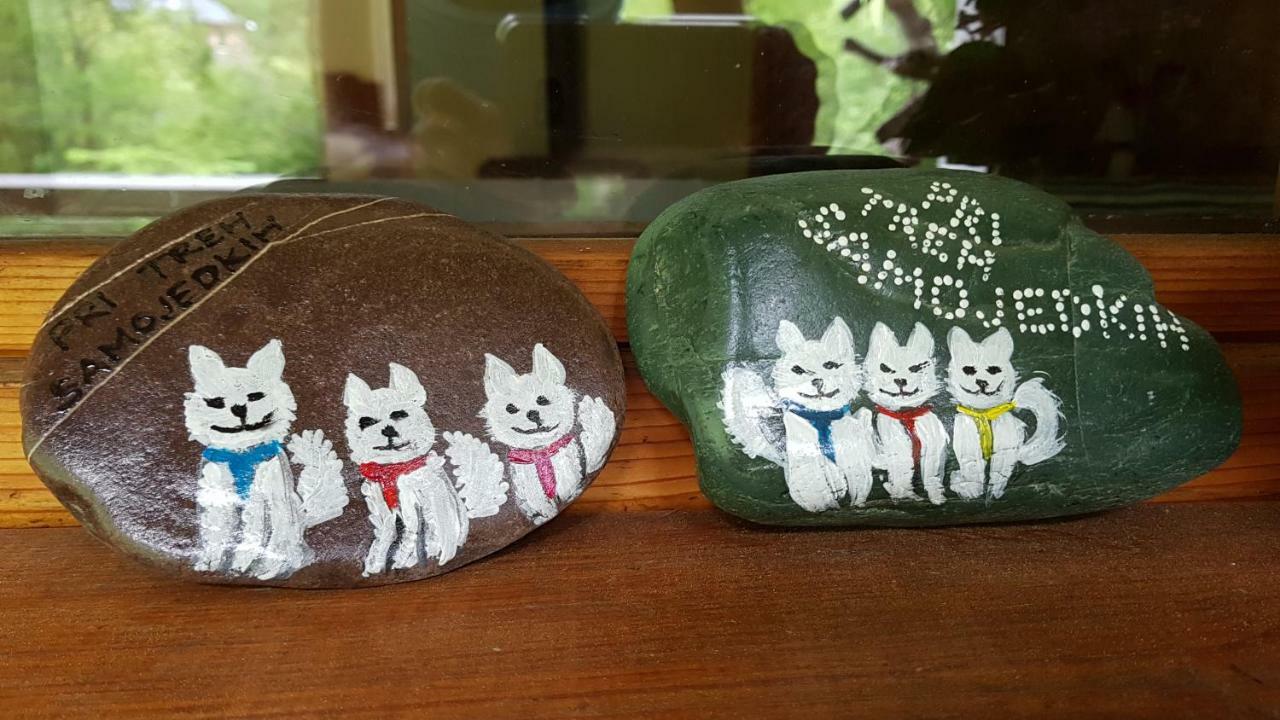 Bovec Home At Three Samoyeds Soča Zewnętrze zdjęcie