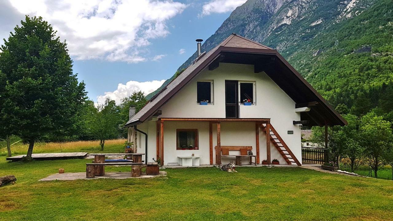 Bovec Home At Three Samoyeds Soča Zewnętrze zdjęcie